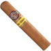 Charuto Montecristo wide edmundo rio branco acre