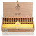 Charuto Montecristo wide edmundo rio branco acre